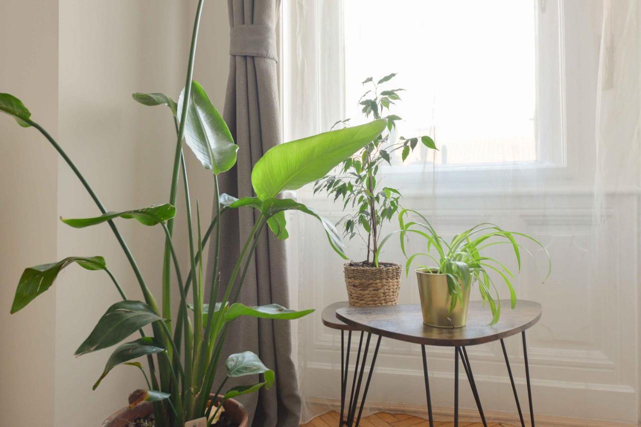 Dohany Design Apartament *