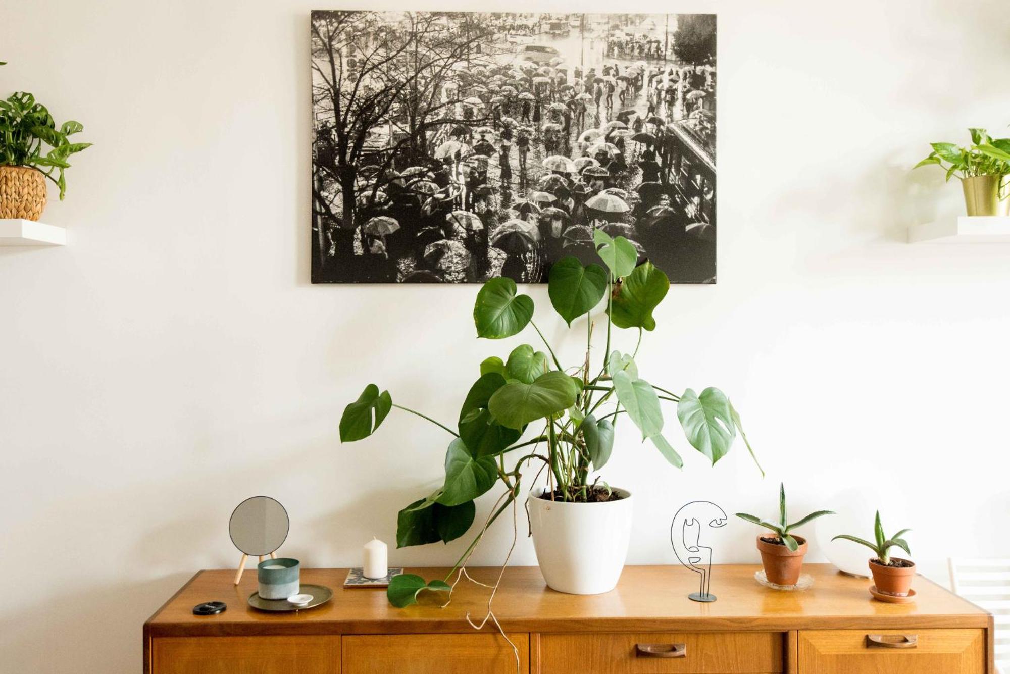 Apartament Dohany Design Budapesta